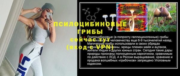 винт Наволоки