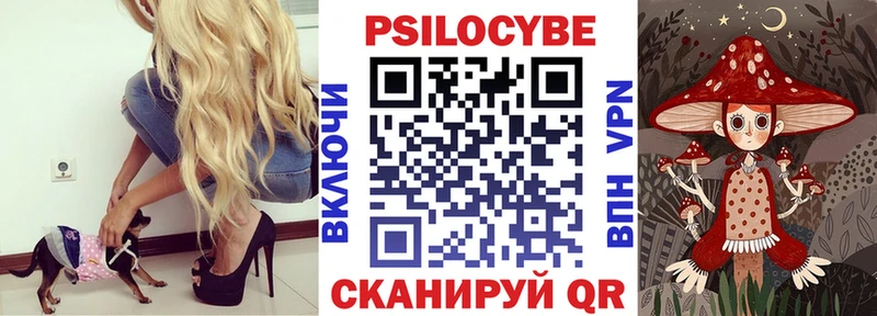 mega   цены наркотик  Зея  Галлюциногенные грибы Psilocybe 